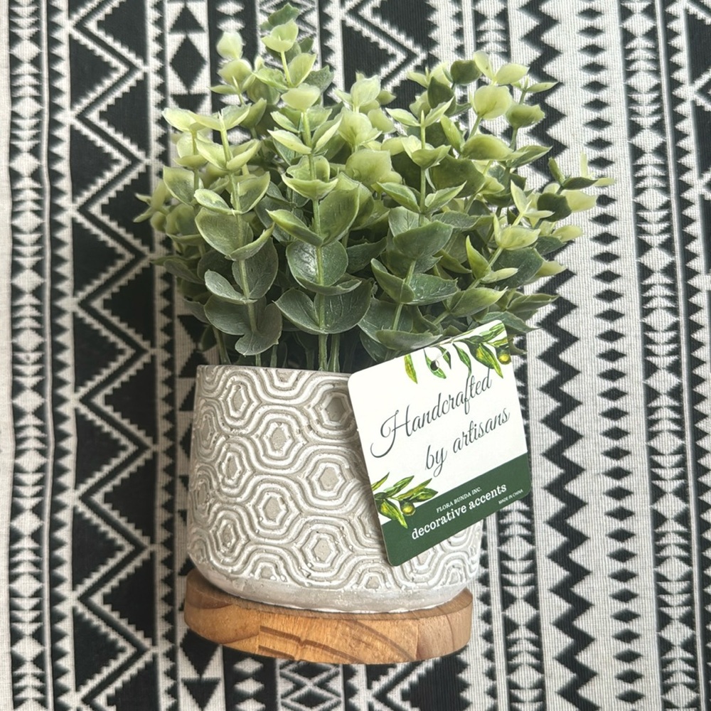 Flora bunda eucalyptus 3.75” cement wood base pot